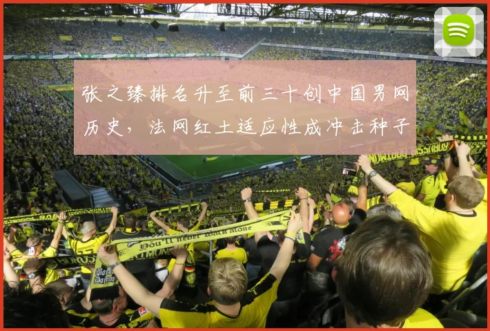 张之臻排名升至前三十创中国男网历史，法网红土适应性成冲击种子席位关键